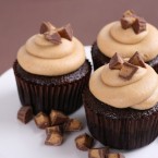 Chocolate peanut butter cupcakes