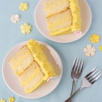 Cakes