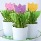 Tulip Cookies