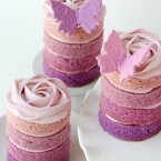 Ombre cakes with butterflies