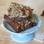 Chocolate coconut brownies