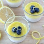 Yogurt Panna Cotta Recipe