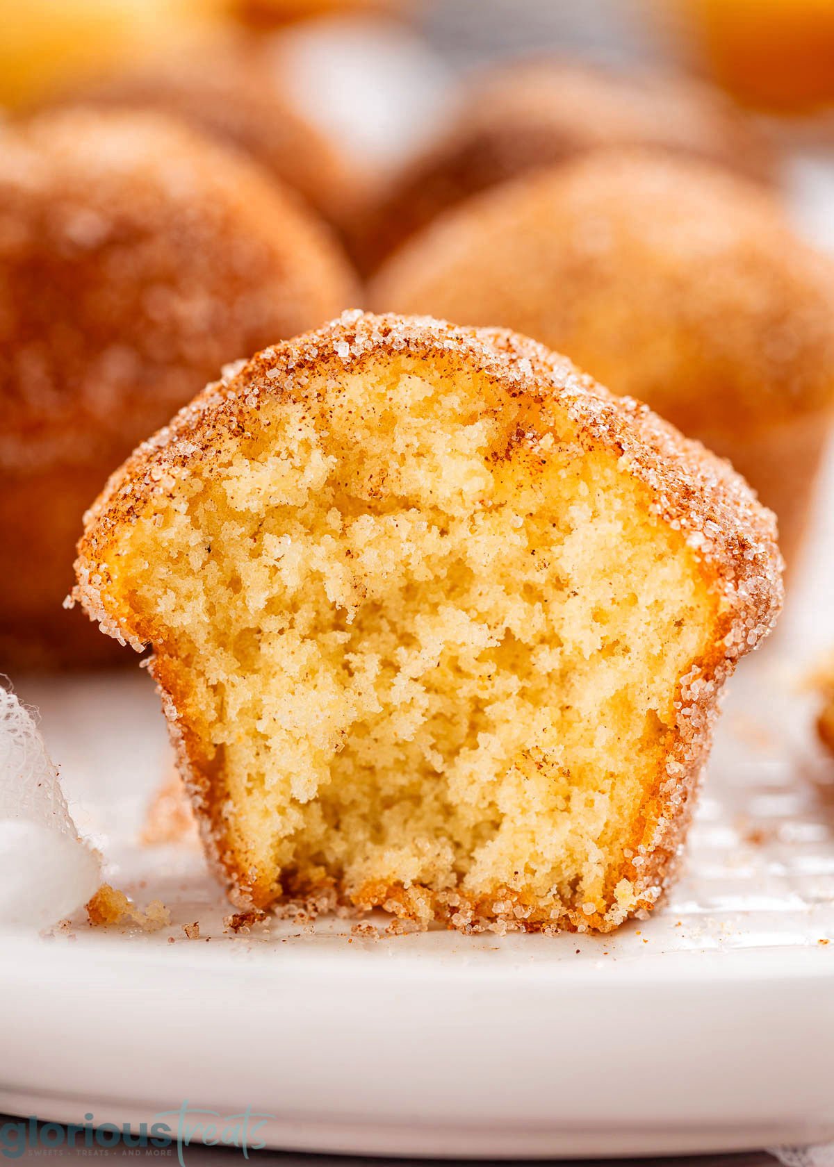 half of a muffin sitting on a white plate showing the beautiful tender crumb and cinnamon sugar coating.