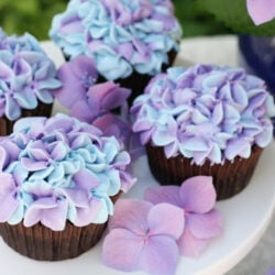 chocolate cupcakes with colored frosting