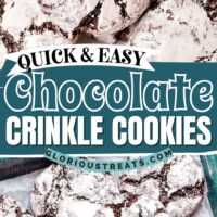 two image collage showing chocolate crinkle cookies covered in powdered sugar with top image showing the cookie with a bite taken. center color block with text overlay.