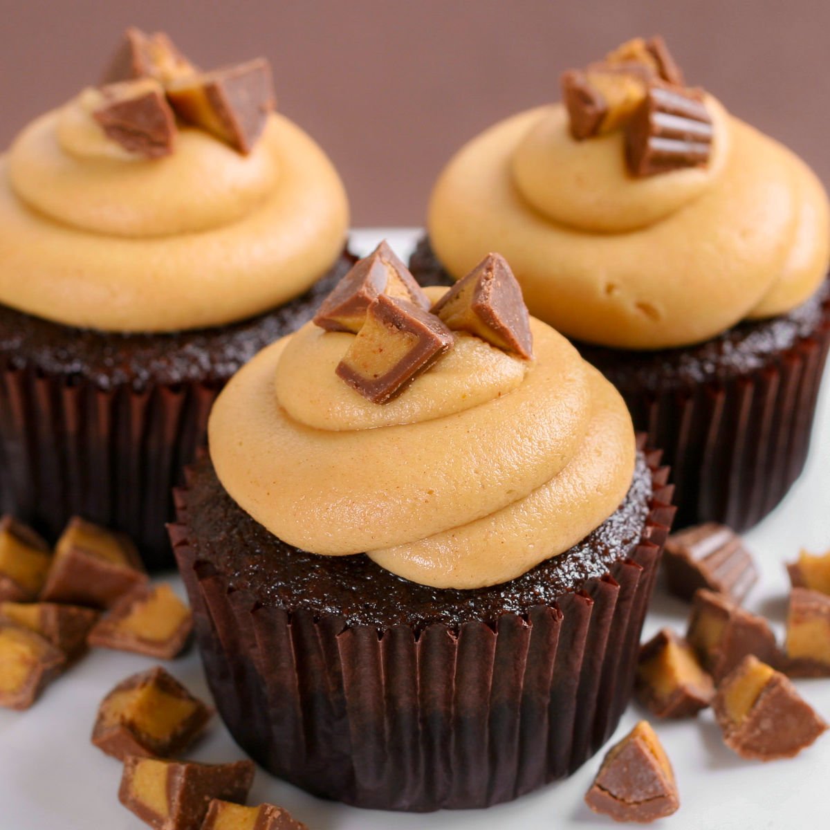 Chocolate Peanut Butter Cupcakes - Glorious Treats