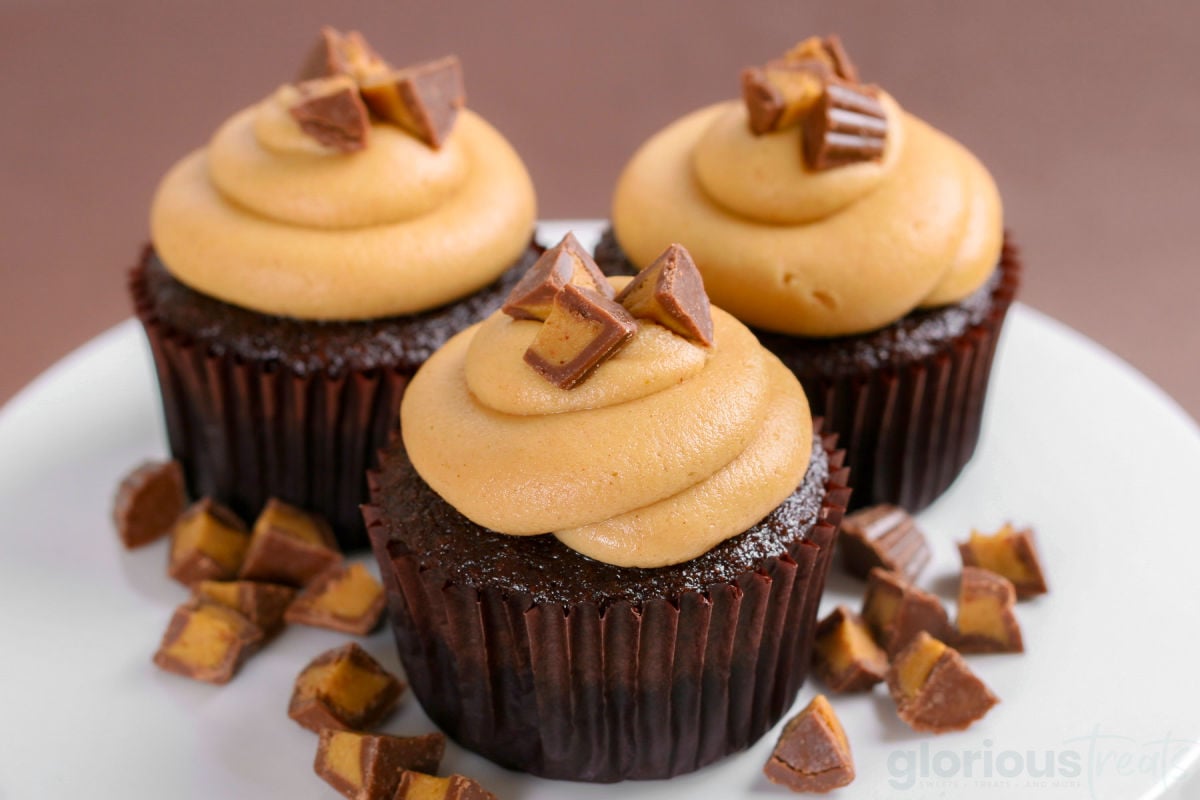 https://www.glorioustreats.com/wp-content/uploads/2011/02/peanut-butter-chocolate-cupcakes.jpeg