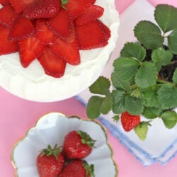 strawberry cake topped with strawberries