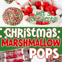 three image collage showing christmas marshmallow pops with red and white sticks in a christmas mug. shown packaged in a box ready for gift giving. center color block with text overlay.