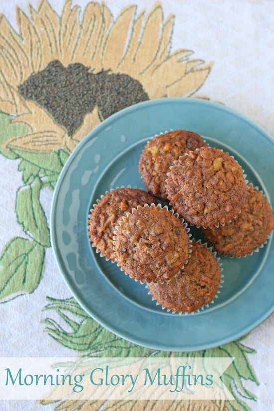 Morning Glory Muffins Recipe - glorioustreats.com
