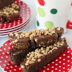 Double Chocolate Biscotti - Rich and flavorful with the perfect amount of crunch! So delicious with coffee or hot cocoa!