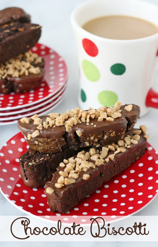 Double Chocolate Biscotti - Rich and flavorful with the perfect amount of crunch! So delicious with coffee or hot cocoa! 