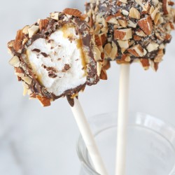 Caramel Nut Marshmallow Pops - Transform simple ingredients into an INCREDIBLE treat!