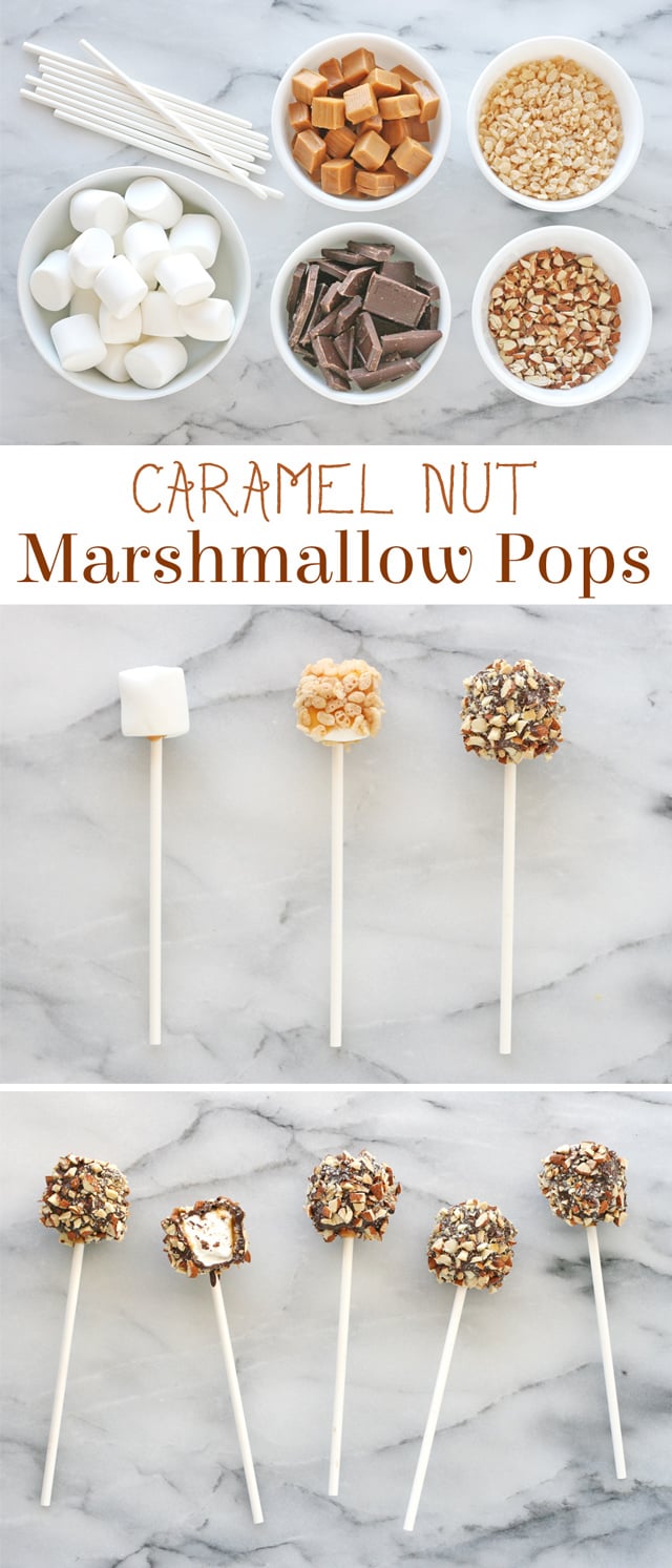 Caramel Nut Marshmallow Pops - Caramel, chcolate, rice krispies and nuts surround a marshmallow to create an incredible treat! 
