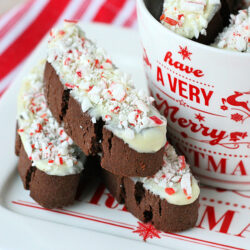 peppermint chocolate biscotti on white plate next to christmas mug