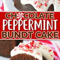 two image collage showing whole chocolate peppermint bundt cake on white cake stand and a piece cut on a white plate. center color block with text overlay.