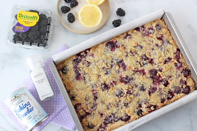 Blackberry Crumb Bars Recipe