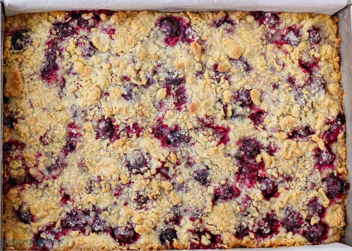 Overhead shot of a close up of blackberry crumb bars in baking dish.