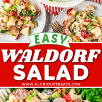 two image collage of waldorf salad in a large white serving bowl lined with lettuce leaves and two small plates with servings of the salad. center color block with text overlay.